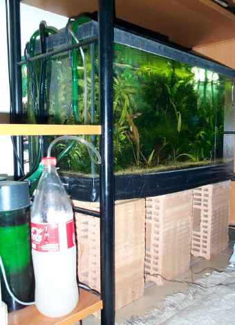 Fabrication du co2 pour aquarium